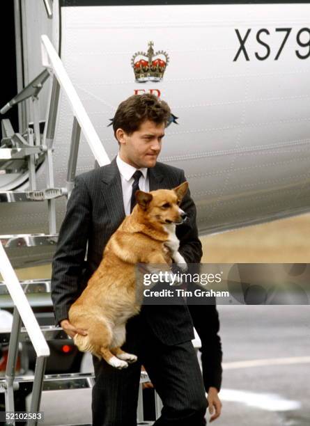 Paul Burrell, A Member Of The Queens Staff, Carrying One Of The Queen's Corgis Off The Royal Flight Aircraft Returning From Balmoral After The Summer...