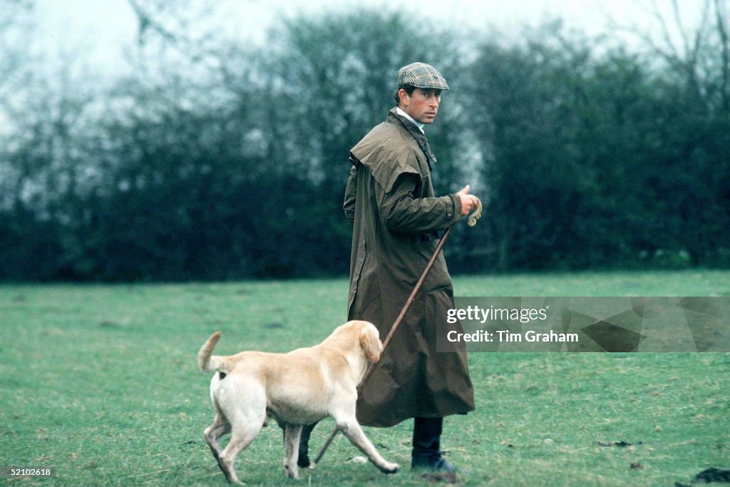 Charles Labrador Dog