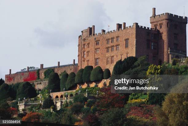 powis castle - powys stock pictures, royalty-free photos & images