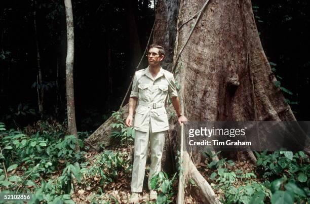Prince Charles, Whose Interest In The Survival Of The Rainforests Has Been Well Reported, Wearing A Safari Suit Visiting The Rainforest In The...