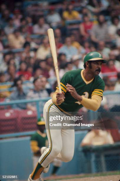 Billy Williams of the Oakland A's watches the flight of the ball he just hit during a game against the Cleveland Indians at Municipal Stadium in...