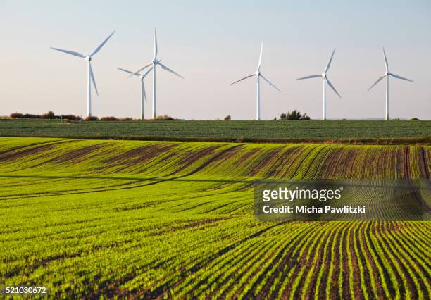 wind farm and field - saxony anhalt stock-fotos und bilder