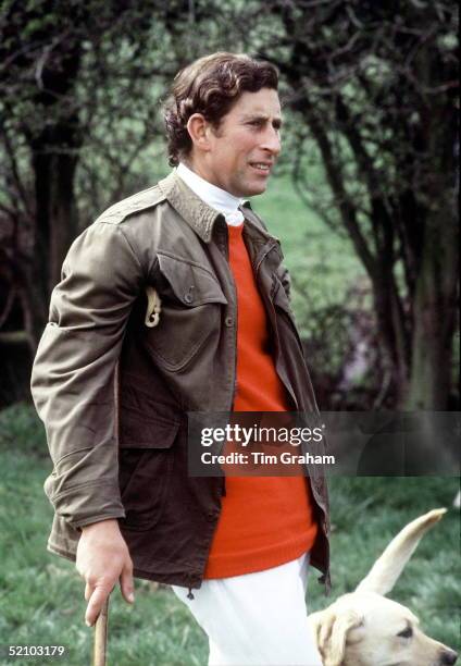 Prince Charles With Shepherd's Crook At The Quorn Hunt Cross Country Event With His Labrador Dog