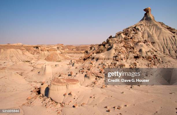 sandstone formations in alberta - dinosaur provincial park stockfoto's en -beelden