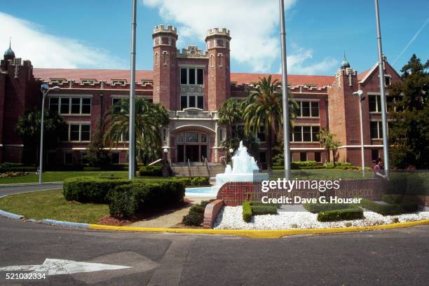 the florida state university - florida v florida state stock pictures, royalty-free photos & images
