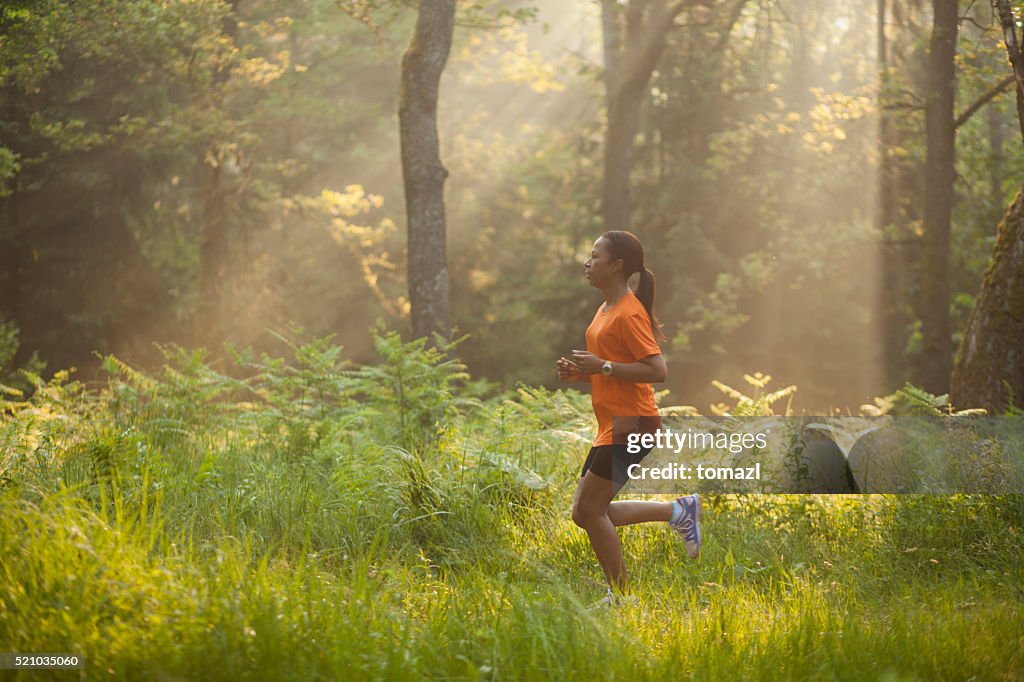 Runner In Woods Running Through Woods In The Morning High-Res Stock Photo - Getty Images
