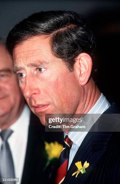 Prince Charles Wearing Daffodil On St Davids Day In Cardiff Wales