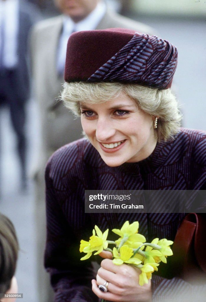 Diana Daffodils