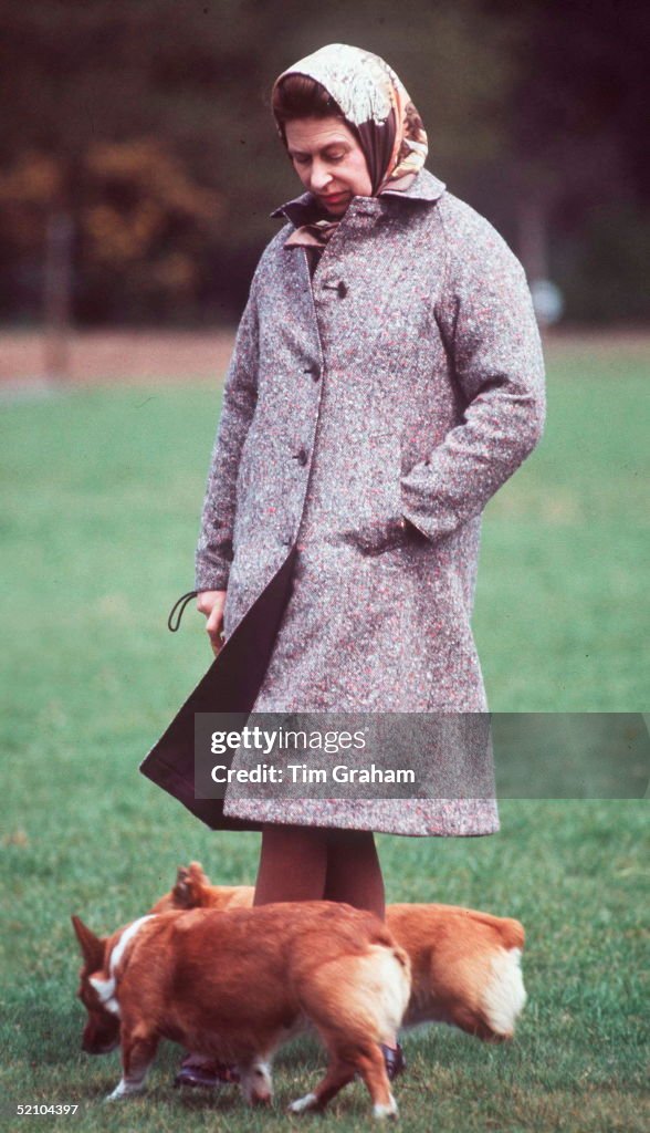 Queen And Corgis
