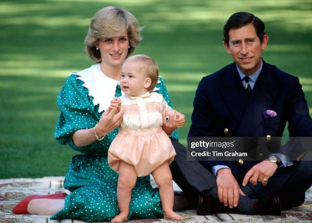 Baby William New Zealand
