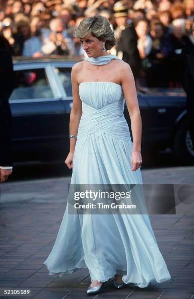 Diana Cannes Catherine Walker Dress Diana Cannes Catherine Walker Dress