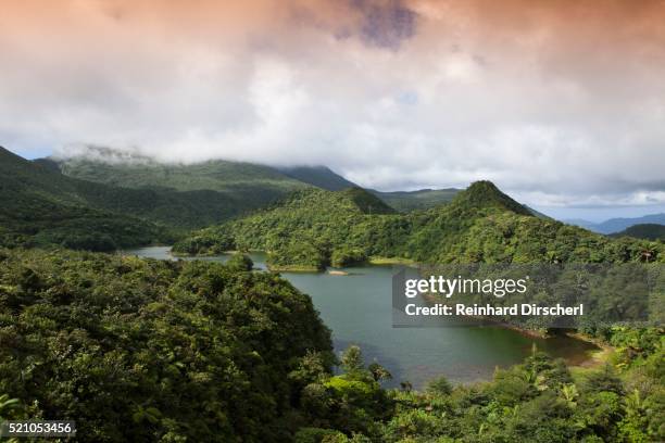 dominica, caribbean, freshwater lake in morne trois pitons national park listed as world heritage by unesco - dominica stock pictures, royalty-free photos & images