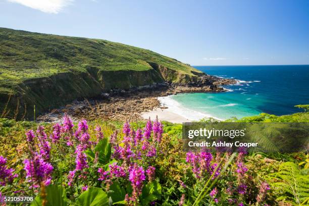 cornish coastal scenery at porthmeor cove near zennor, uk - cornwall england bildbanksfoton och bilder