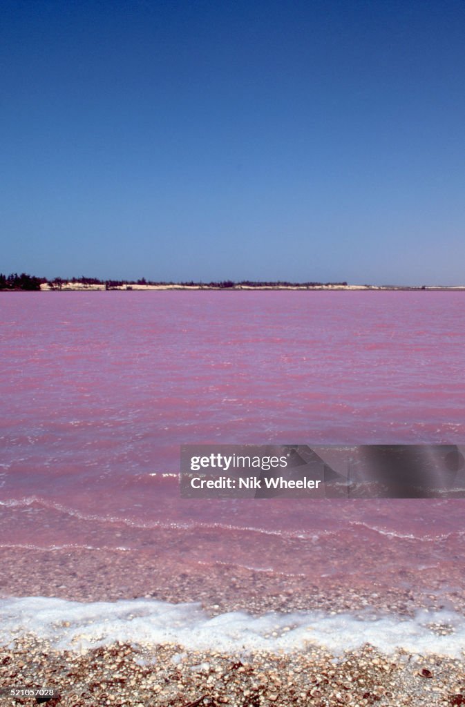 Lac Roz Mineral content turns the waters of Lac Rose pink. The shallow lake ...