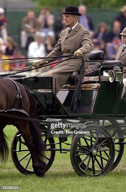 Prince Philip At The Royal Windsor Horse Show Competing With A Team Of The Queen's Fell Ponies.