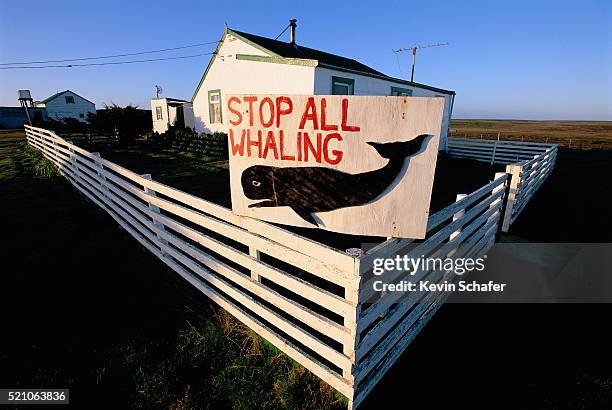 sign protesting against whaling practices - pesca de baleia - fotografias e filmes do acervo