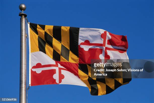 maryland state flag - 馬里蘭州 個照片及圖片檔