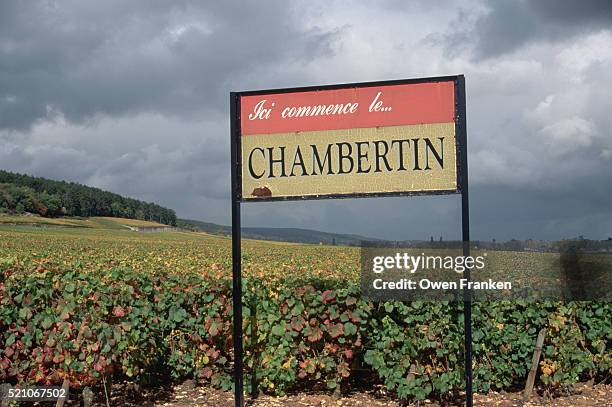 chambertin sign next to a vineyard - gevrey-chambertin stockfoto's en -beelden