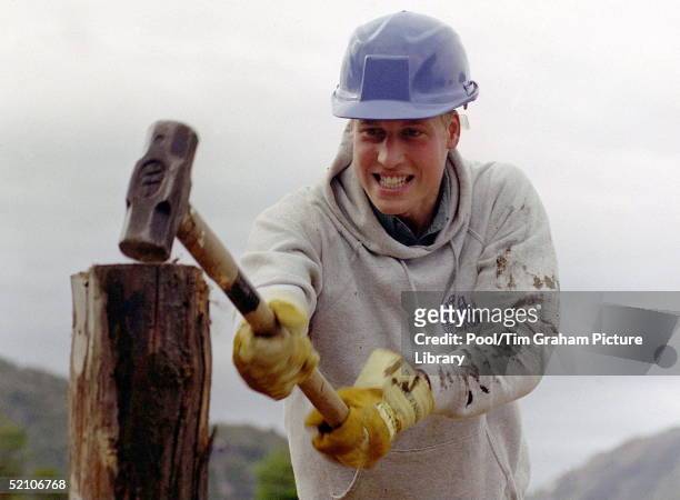 Prince William During His Raleigh International Expedition In Southern Chile, Hammering A Log Used To Construct Walkways Linking Buildings In The...