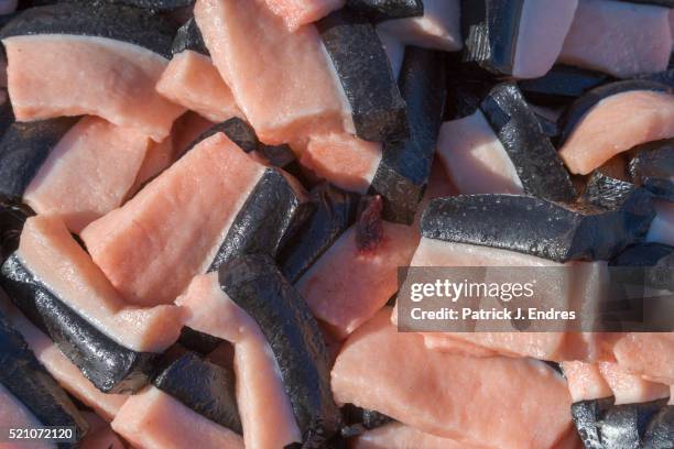 Muktuk Photos et images de collection Getty Images