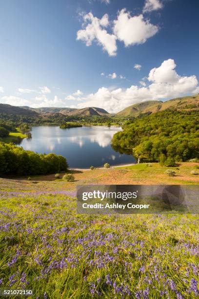 Spring Landscape Uk Lake District Spring Flowers Photos and Premium High Res Pictures ...