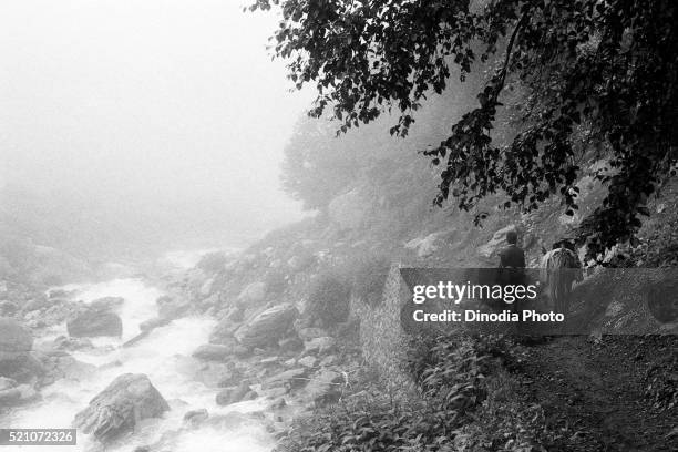 pony path along pushpawati river valley of flowers, garhwal, uttarakhand, india, asia, 1978 - valley of flowers uttarakhand stock-fotos und bilder