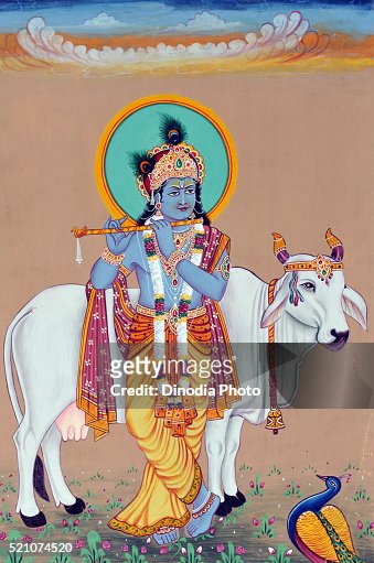 4,005 Cow God Photos and Premium High Res Pictures - Getty Images