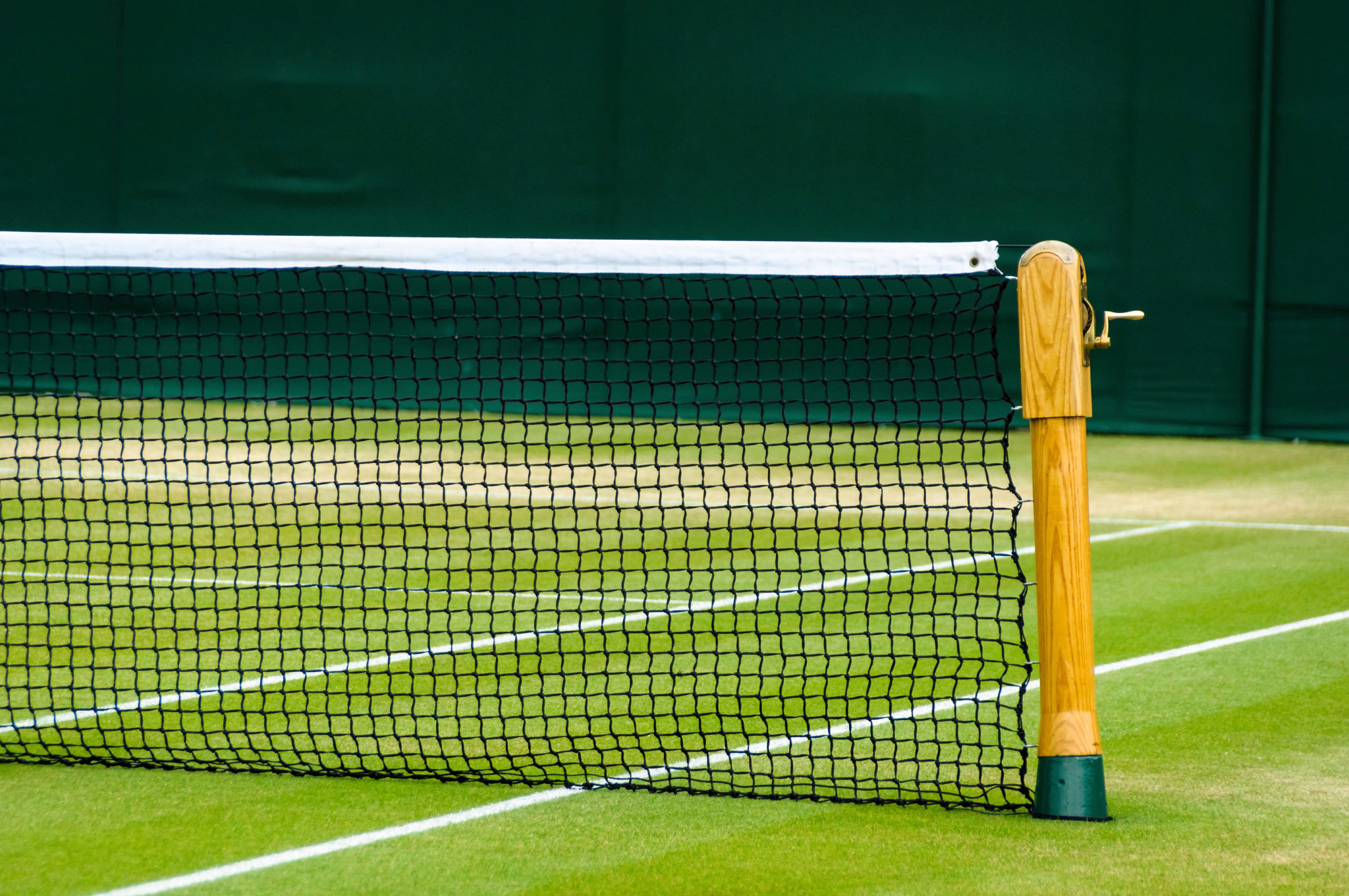 wimbledon tennis