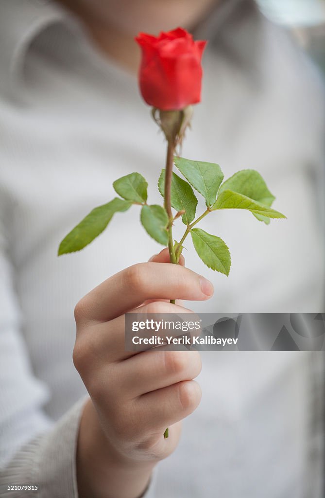 Hand with flower