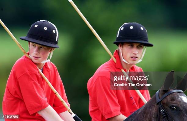 Prince William And His Brother Prince Harry Taking Part In A Sports Funday At Tidworth Polo Club Raising Money For Inspire - A Charity For People...