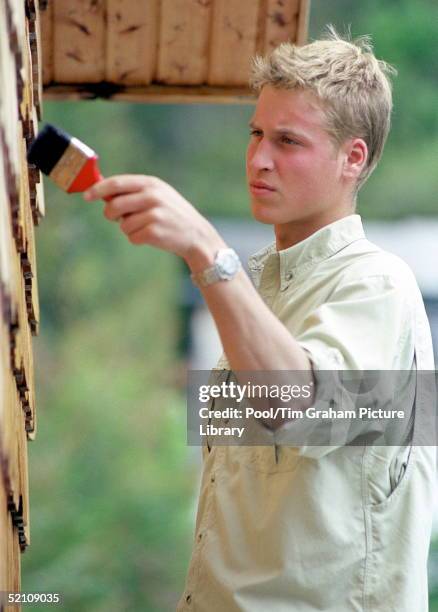 Prince William During His Raleigh International Expedition, In Southern Chile Varnishing The Outside Of The Local Radio Station In Tortel.