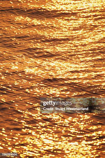 sunlight reflecting off water - stuart gold stock pictures, royalty-free photos & images