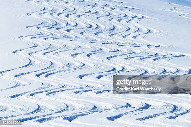 ski tracks in the cariboo mountains - cariboo stock pictures, royalty-free photos & images