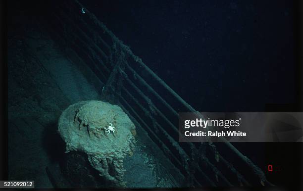 crab on bollard of the titanic - titanic fotografías e imágenes de stock