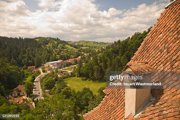 countryside around dracula's castle - bran stock pictures, royalty-free photos & images