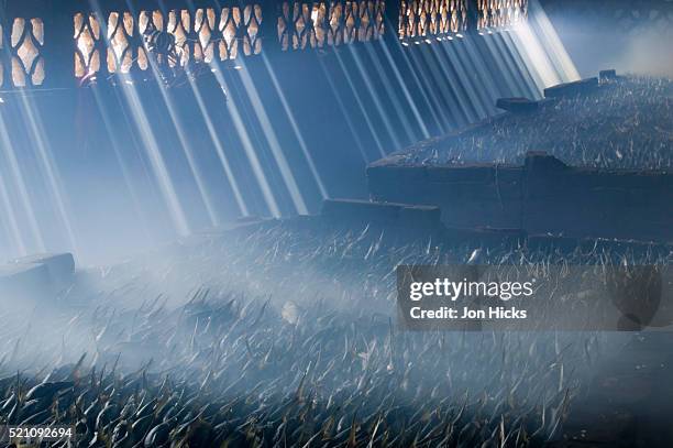 fish in smokehouse - smokehouse stock pictures, royalty-free photos & images