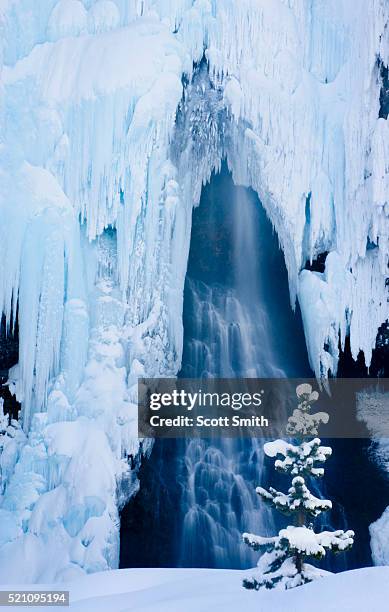 yellowstone national park, wyoming. usa. ice cloaks fairy falls in winter. - frozen waterfall stockfoto's en -beelden