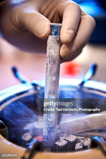 hand holding tube containing vials of frozen sperm used in invitro fertilization. - nitrogen stock pictures, royalty-free photos & images