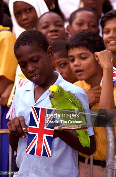 Young Boy Teaching His Parrot To Wave The Union Jack To Greet Prince Charles During His Visit To See The Improvements Being Made At Albouystown, A...