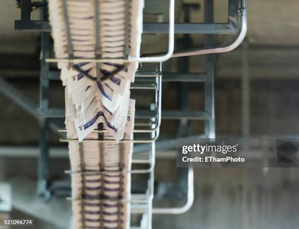 newspaper production at tamedia zurich printing plant - printing zurich stock pictures, royalty-free photos & images