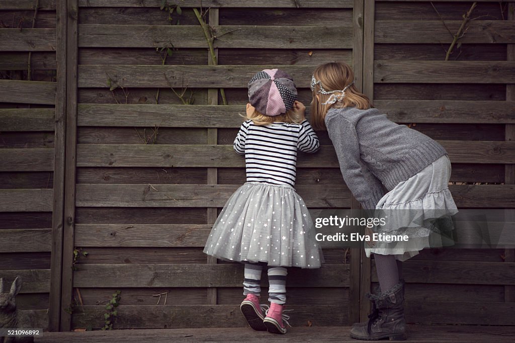 Two children peeking through hole in a fence