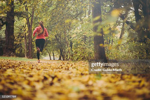 woman jogging in park. - fitness or vitality or sport and women fotografías e imágenes de stock