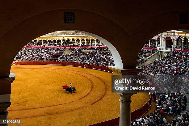 Bullfighter Morenito de Aranda performs with a Vitorino Martin ranch fighting bull during a bullfight at La Maestranza bullring on the second day of...