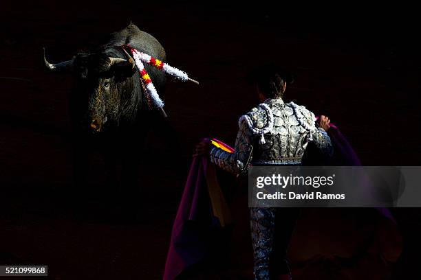 Bullfighter assistant faces a Vitorino Martin ranch fighting bull during a bullfight at La Maestranza bullring on the second day of the Feria de...