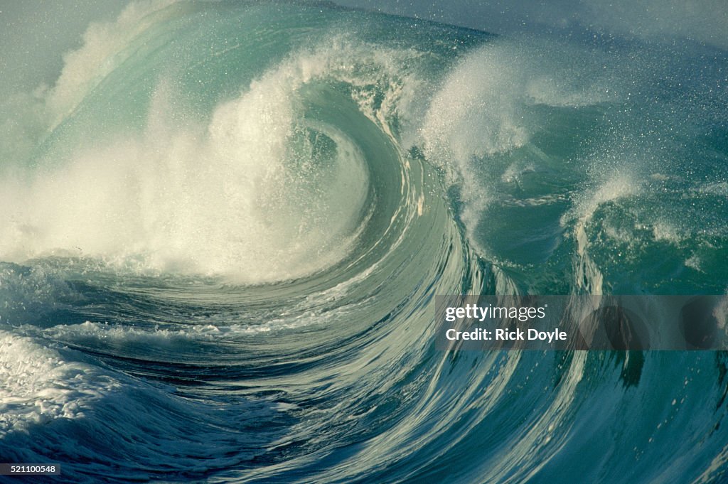 Shorebreak Waves in Waimea Bay