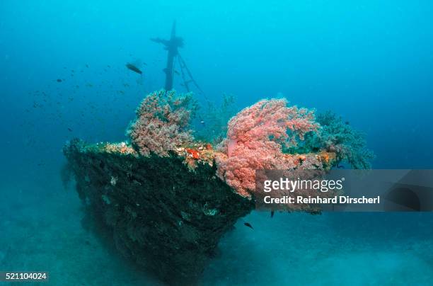 halaveli wreck and a scuba diver, maldives. - shipwreck stock pictures, royalty-free photos & images