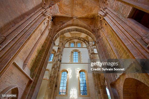europe, france, saone-et-loire, cluny abbey, - cluny photos et images de collection