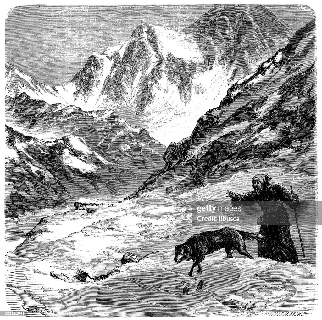 Antique illustration of St. Bernard dog