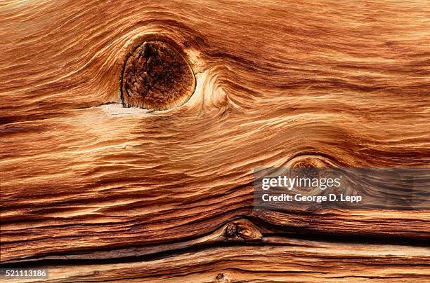 woodgrain pattern of bristlecone pine - bristlecone pine stock pictures, royalty-free photos & images