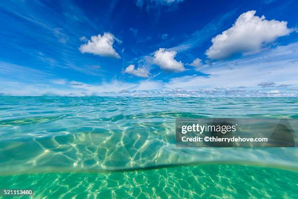 saint martin beach - guadeloupe bildbanksfoton och bilder